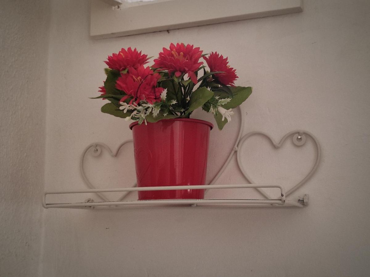 Flower 11 Apartment 巴里 外观 照片